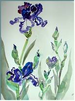Iris- painting by Lily Azerad-Goldman