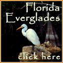 Florida Everglades travel and tourist guide