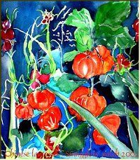 Chinese Lanterns -Watercolor by Lily Azerad-Goldman