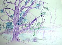 New Hampshire Tree- painting by Lily Azerad-Goldman
